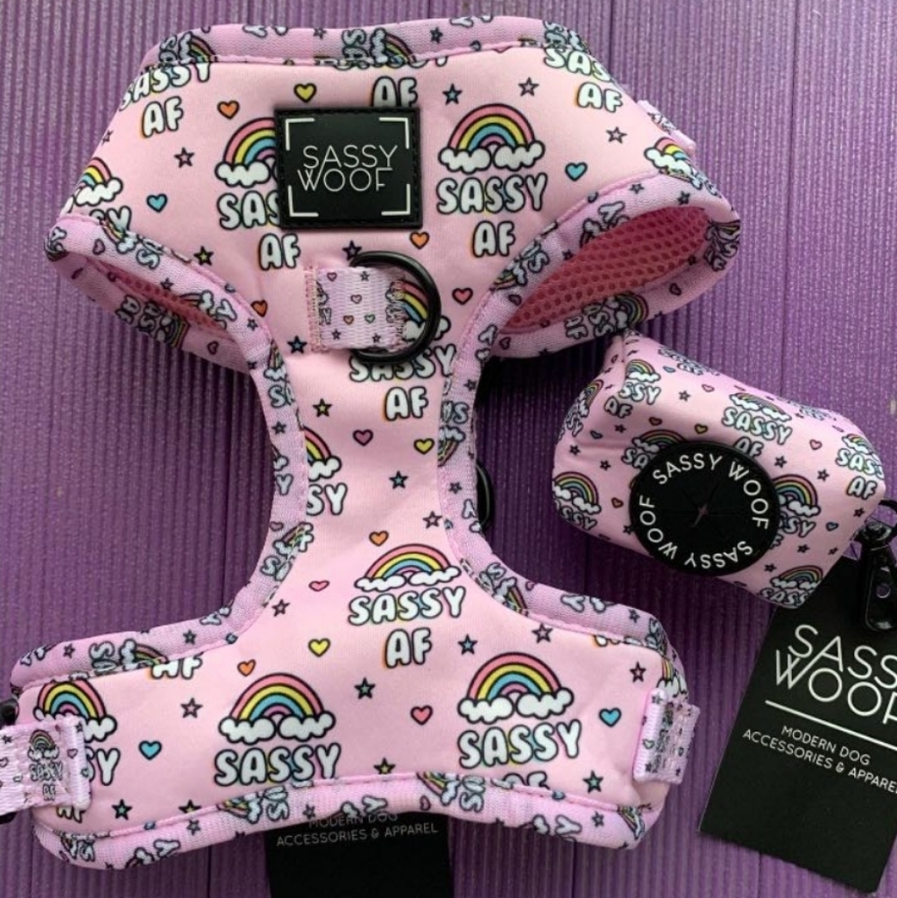 ‼️ISO SASSY WOOF🐶‼️ - Picture 2 of 3